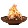 VidaXL Vatră de foc, 80 cm, oțel 313345