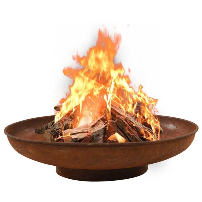 vidaXL Vatră de foc, 80 cm, oțel 313345