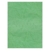 Coperta indosariere A4 CNX, carton imitatie piele, verde, 230g/mp, top 100 coli