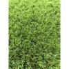 Gazon Artificial Jakarta, Inaltime Fir 30 mm, Latime 2m, Marime 200 x 200 cm, Verde cu Insertii Fire Iarba Uscata, Antialergic, Polipropilena, Curte,