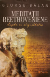 Meditatii Beethoveniene. Lupta cu singuratatea &ndash; George Balan