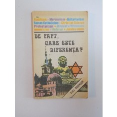 DE FAPT, CARE ESTE DIFERENTA? de FRITZ RIDENOUR