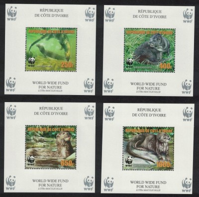 COASTA DE FILDES 2006 WWF FAUNA PROTEJATA VIDRE foto