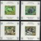 COASTA DE FILDES 2006 WWF FAUNA PROTEJATA VIDRE