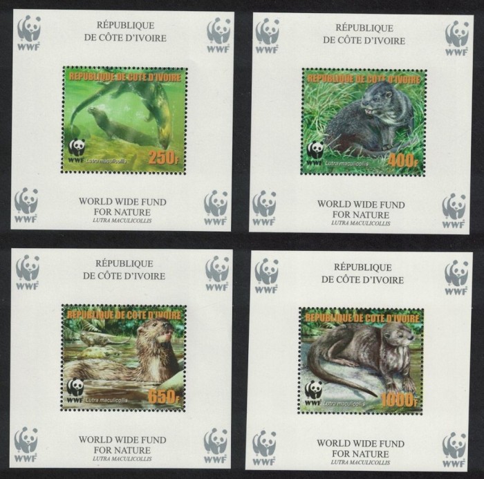 COASTA DE FILDES 2006 WWF FAUNA PROTEJATA VIDRE
