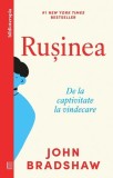 Rușinea Curtea Veche carte dezvoltare personala non-fictiune