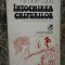 Intocmirea chipurilor Nicolae Lupu AUTOGRAF