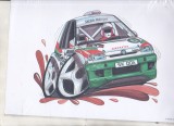 Bnk div Skoda Felicia - afis / poster / print - KoolArt 207