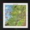 Colita bloc x 20 Dominica Rain Forest