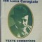 PAGINI ALESE. TEXTE COMENTATE-ION LUCA CARAGIALE-256498