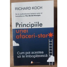 Principiile unei afaceri-star - Richard Koch
