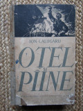 ION CALUGARU - OTEL SI PAINE