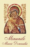 Minunile Maicii Domnului Paperback brosat carte religioasa crestinism Sophia