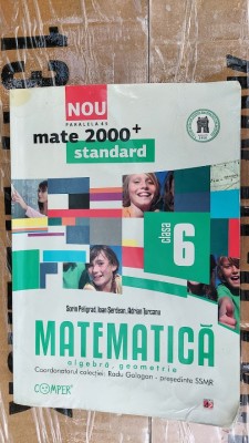 MATEMATICA ARITMETICA ALGEBRA GEOMETRIE CLASA A VI A PELIGRAD SERDEAN TURCANU foto