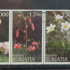 TS21 - Timbre serie Buriatia - Flora - Flori