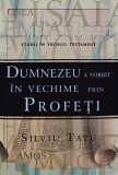 Cumpara ieftin Dumnezeu a vorbit in vechime prin profeti - 2007 - Silviu Tatu (AM179)