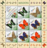 MOLDOVA 2013, Fauna - Fluturi, serie neuzata, MNH, Nestampilat