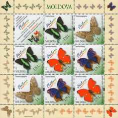 MOLDOVA 2013, Fauna - Fluturi, serie neuzata, MNH