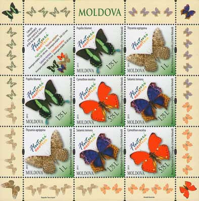 MOLDOVA 2013, Fauna - Fluturi, serie neuzata, MNH