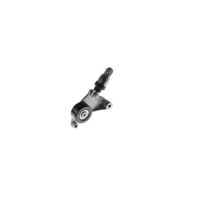 Intinzator curea TOYOTA RAV 4 II CLA2 XA2 ZCA2 ACA2 DAYCO APV2379 foto
