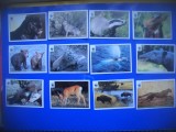 HOPCT LOT NR 6- 12 CARTONASE FAUNA -WWF- ITALIA