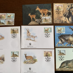 uzbekistan - serie 4 timbre MNH, 4 FDC, 4 maxime, fauna wwf