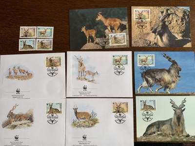 uzbekistan - serie 4 timbre MNH, 4 FDC, 4 maxime, fauna wwf foto