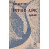 Intre ape - Roman