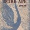 Intre ape - Roman