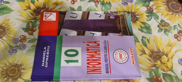 Daniela Popescu Manual informatica clasa X