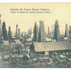 4695 - MORENI, Prahova, Oil Wells, Romania - old postcard - unused