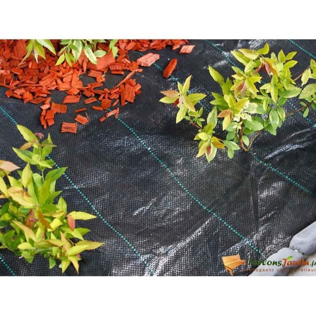 Nature Protecție pentru sol, negru, 1 x 50 m