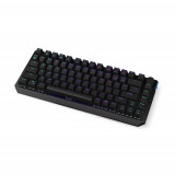 Tastatura mecanica Endorfy, Thock 75%, Wireless, bluetooth, iluminare RGB (Negru)