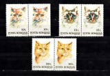 A11 TX9 15 - 1993 - Pisici - perechi de doua timbre, Fauna, Nestampilat
