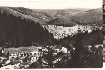 CPIB 22134 - CARTE POSTALA - VEDERE DIN BORSEC, NECIRCULATA foto