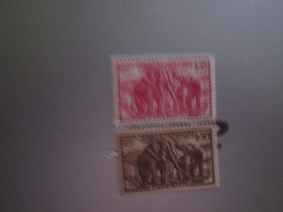 CAMERUN NESTAMPILAT MH=220 foto