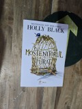 Mostenitorul furat - Holly Black
