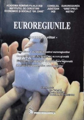 EUROREGIUNILE. Prezent și viitor - 2005 - Ion Talaba (coord.) (N71) foto