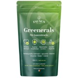 Greenerals Pudra 300g