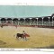 Carte postala Plaza de toros - Lima - 1907 - circulata A034