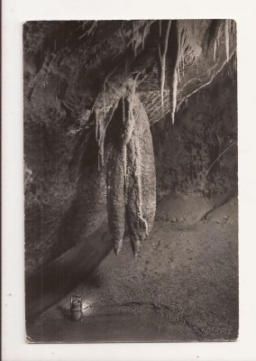 FG1 - Carte Postala - UNGARIA - Thorn Drop , Hedgehog, circulata 1963 foto