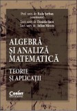 Cumpara ieftin Algebră şi analiză matematică. Teorie şi aplicaţii