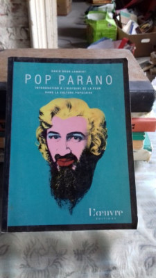 POP PARANO - DAVID BRUN LAMBERT (INTRODUCERE IN ISTORIA CULTURII POPULARE) foto