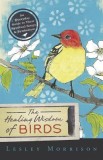 The Healing Wisdom of Birds: An Everyday Guide to Their Spiritual Songs &amp; Symbolism