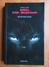 Rodica Ojog-Brasoveanu - 320 de pisici negre foto