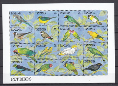 Tanzania 2011 - PASARI - BL XXL - 16 val. diferite - MNH foto