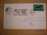 D11 - 1981 - Circulatie postala - Romania - Iasi