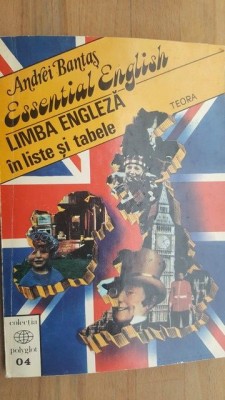 Limba engleza in liste si tabele- Andrei Bantas foto