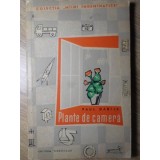 PLANTE DE CAMERA-PAUL DABIJA-103173