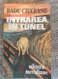 RADU CIUCEANU - INTRAREA IN TUNEL. MEMORII volumul 1